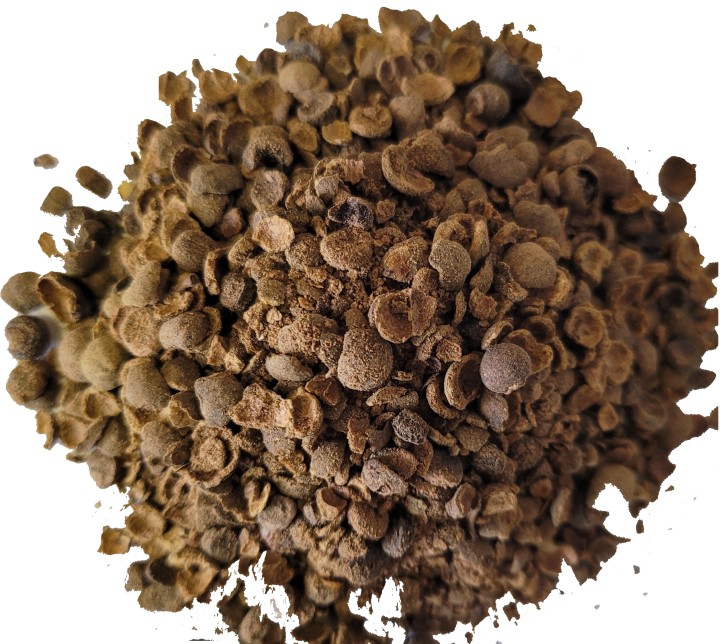 Allspice coarse ground (Pimenta) photo #1