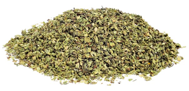 Oregano (Origanum vulgare) photo #1
