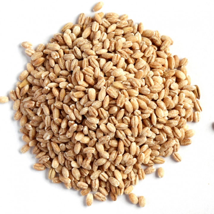 Pearl barley photo #1