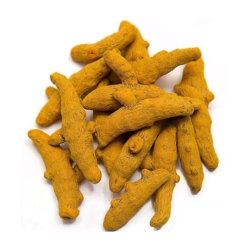 Turmeric finger (root) photo #1